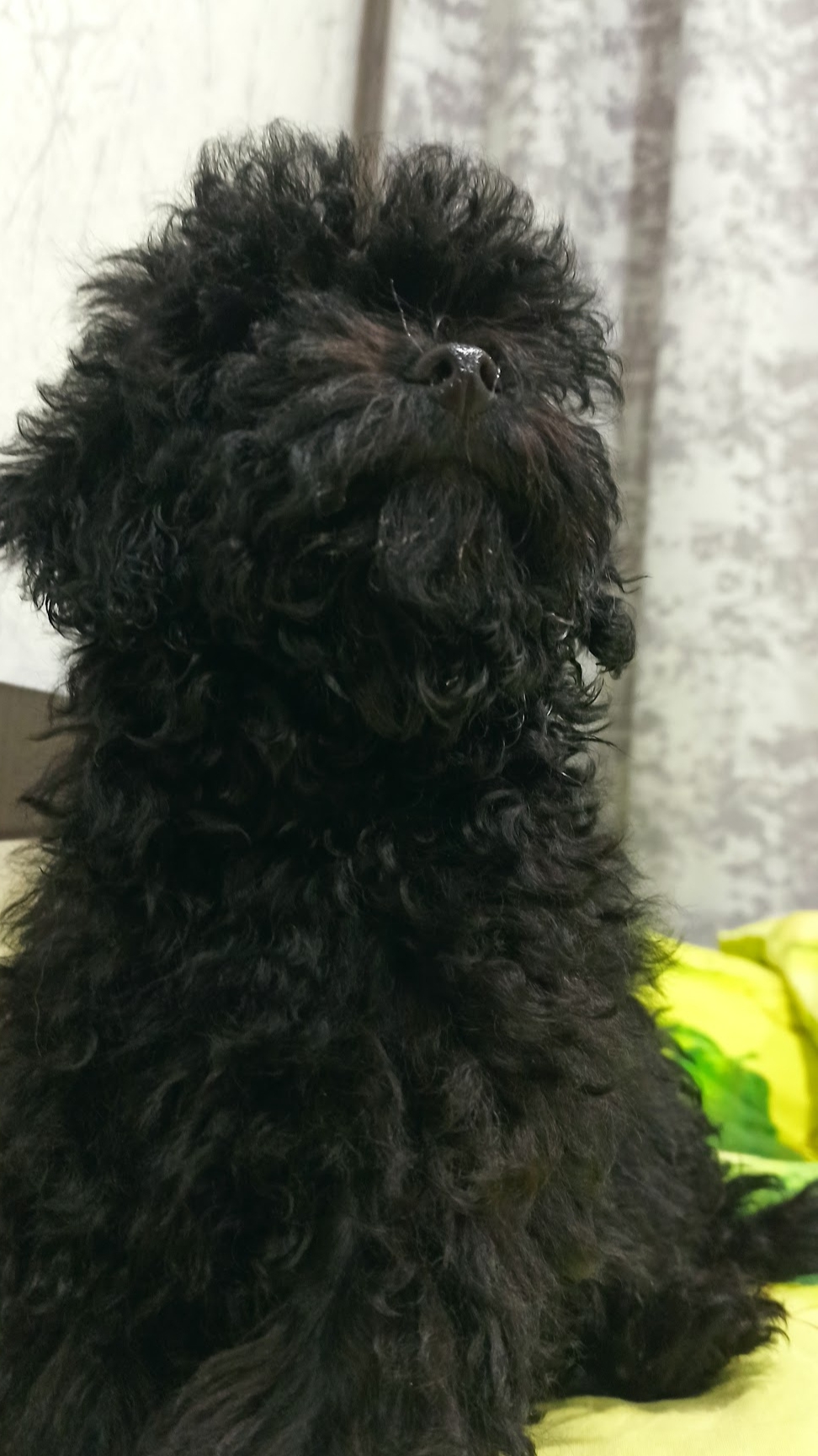 Айза не любит швабру.🤣