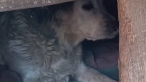 #Мы в деревне! Поехали навестить дом, привести в порядок, проверить после зимы.