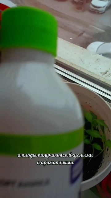 Жидкое органическое удобрение

Артикул #781257488

Органика в гранулах 🌸💐
 
Артикул #781227730