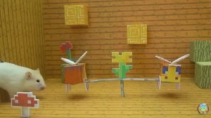 Хомячок убегает из опасного лабиринта огненных шаров! часть 9