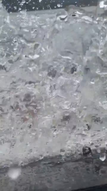 Сам на рыбалку с утра просился