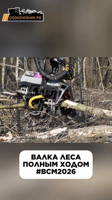 Валка леса харвестером под строительство ВСМ, г. Великий Новгород