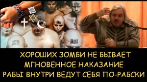 ✅ Н.Левашов. Хороших зомби не бывает. Мгновенное наказание. Рабы внутри ведут себя по-рабски