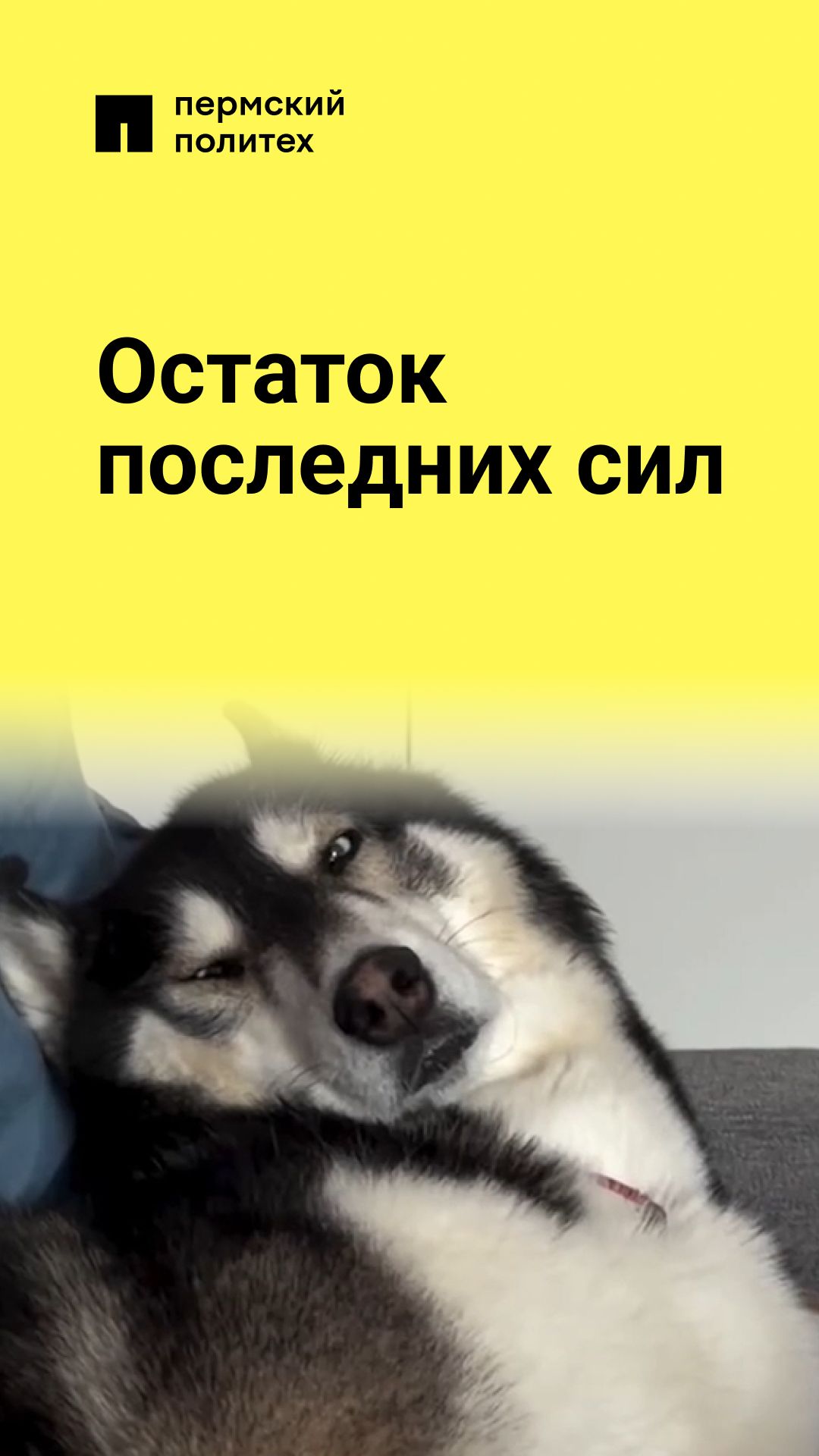 Еще немного и я все