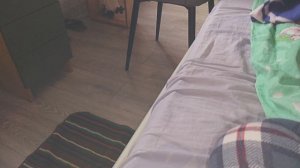 пк-версия на стриме анонимус. на компьютере.