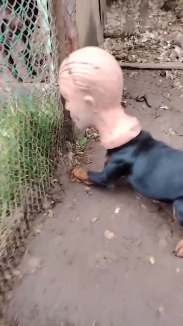 Эля, что с лицом?  (звук 🔞)