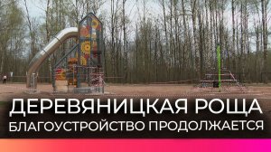 Парк «Деревяницкая роща» в Великом Новгороде обновляют по программе ФКГС