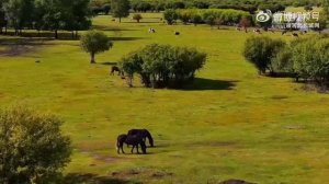 Хайлар КНР 2026