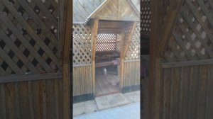 Сильный ветер