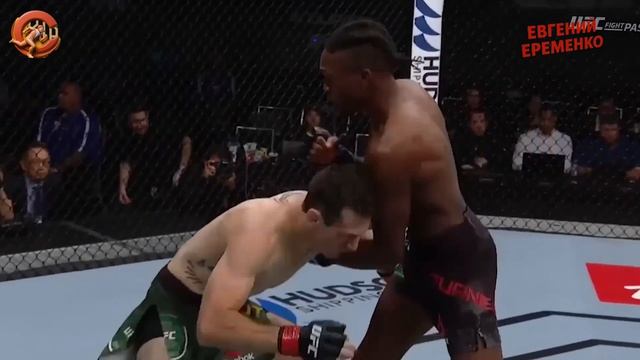 Джелин Тернер. Молодой тарантул, пожирает бойцов заживо.