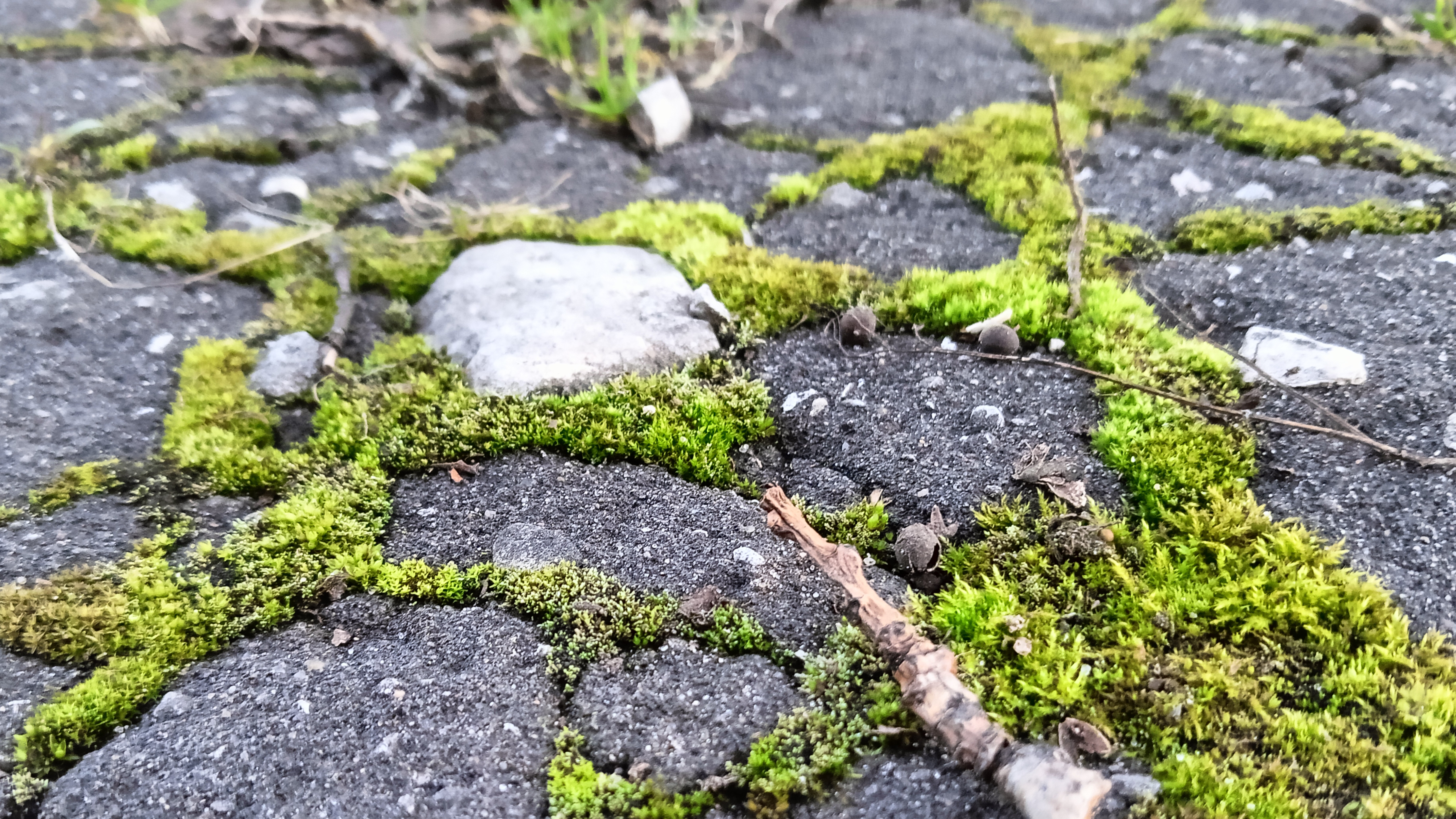 Ответы и вопросы 2 часть