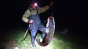 Рыбалка на сома.