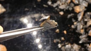 Каменный Уголь обработанный электроразрядами