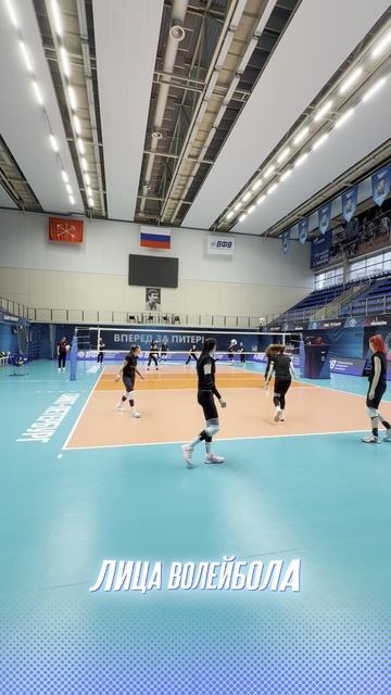 ВОЛЕЙБОЛЬНЫЙ ТЕННИС ИЗ САНКТ-ПЕТЕРБУРГА shorts лицаволейбола volleyball sport tennis разминка