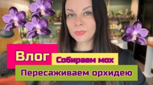Влог собираю мох для орхидей и пересадка коллекционной орхидеи