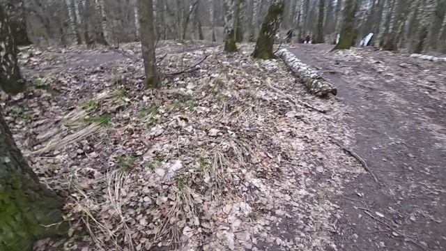 КОГДА ПРИШЛИ НА РОДНИК Я  ПРИШЛА В  ШОК ! Я ТАКОГО НЕ ОЖИДАЛА!