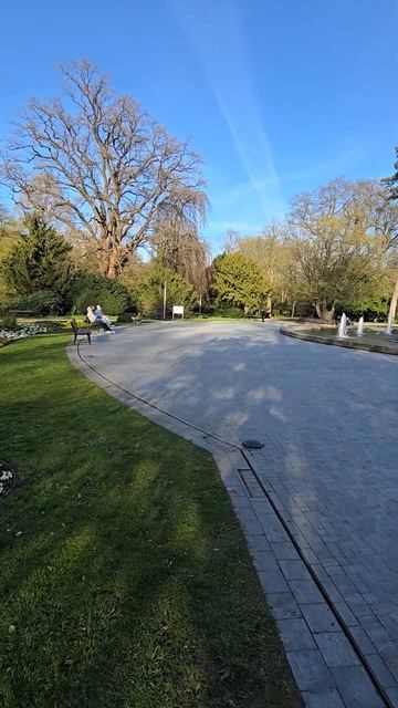 Весеннее пробуждение: Фонтаны и цветы в объективе 4K