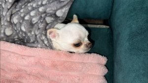 Доброго всем вечера и самой спокойной ночи.