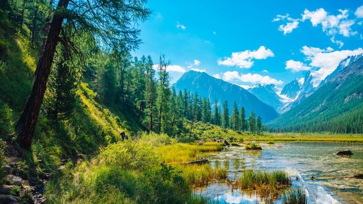 Коран сура Аль-Джасийа чтец Мухаммад аль-Факих