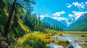 Коран сура Аль-Джасийа чтец Мухаммад аль-Факих