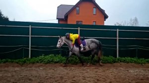 Маленькая наездница на занятиях