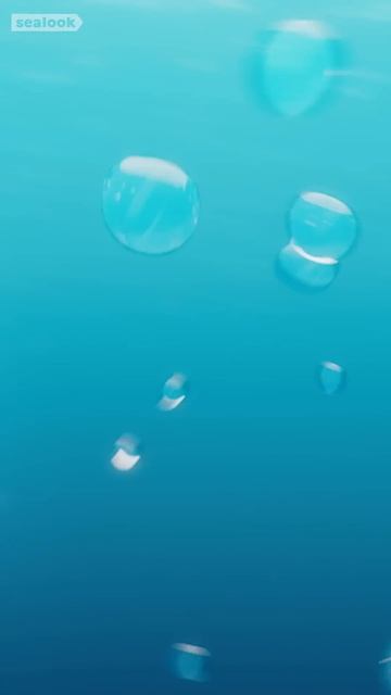 Морские Котики Слай 💖 #004