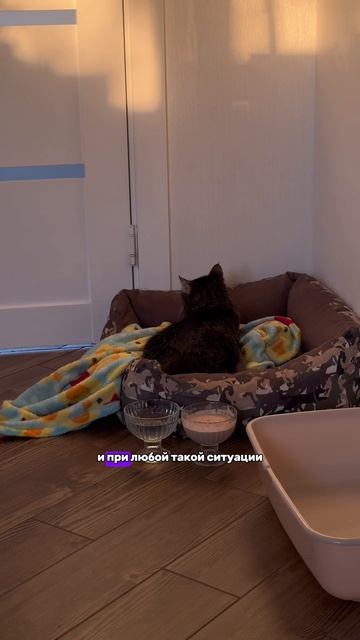 Будьте осторожнее😭