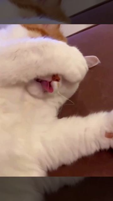 Ну дайте поспать!