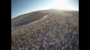 В небе над Сибирской тайгой. Сибирская тайга и парапланы. Иркутск