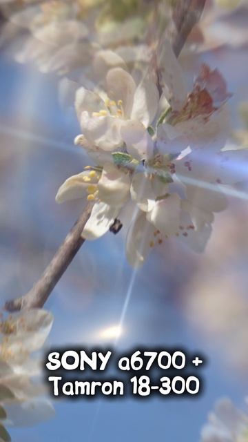 Как снимает Sony a6700  Tamron 18-300 mm ?