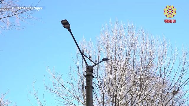 Порядка 50 обращений граждан рассмотрели во время прямой линии с главой Новочебоксарска