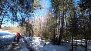 Прогулка в лес, первая крапива.16 апр 2026