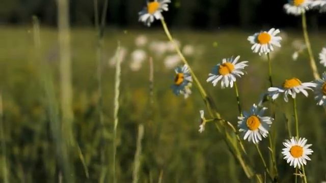 Мои первые слова после смерти Я ВИДЕЛ БОГА - и это изменило всё КЛИНИЧЕСКАЯ СМЕРТЬ