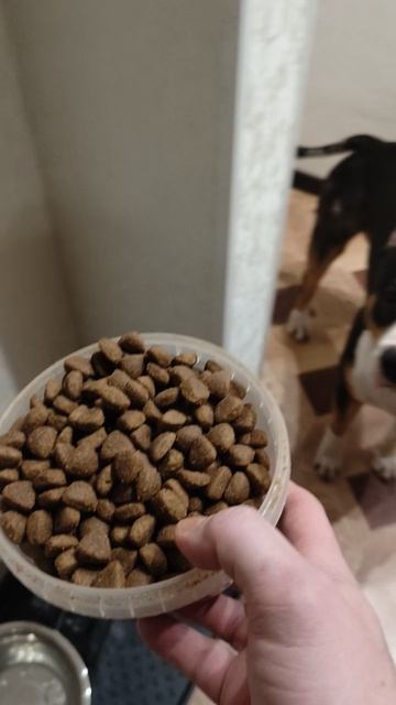 вот так кормить нельзя 