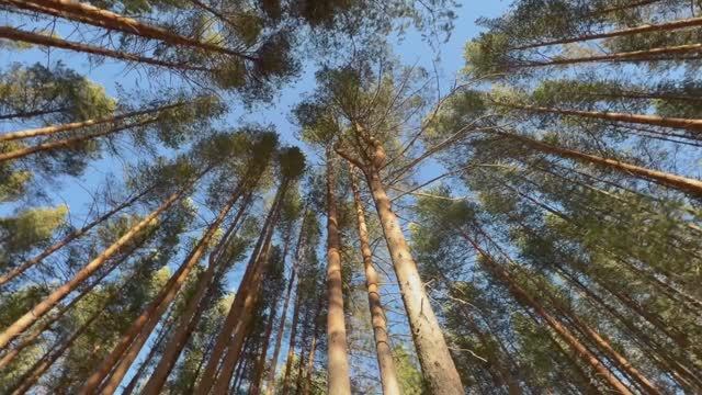 Лучше чем дома.