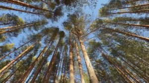 Лучше чем дома.