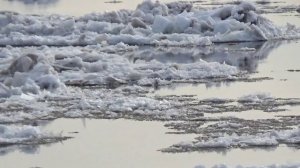 Ледоход в Архангельске. (1)