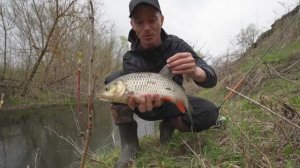 В ЭТОМ РУЧЬЕ КЛЮЮТ КИЛОГРАММОВЫЕ РЫБИНЫ. Рыбалка на спинниг