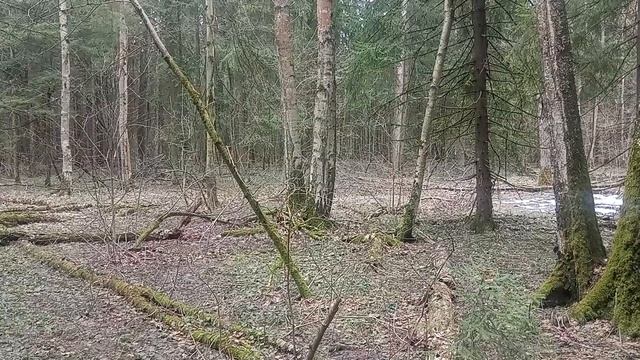 Как меньше уставать в пешем походе