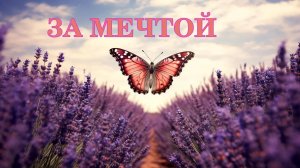 За Мечтой