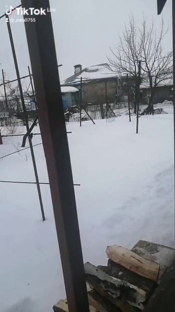 банька-парилка