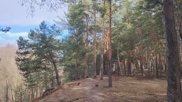 Не смотри на мир чужими глазами. Не пропусти свою жизнь!