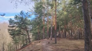 Не смотри на мир чужими глазами. Не пропусти свою жизнь!