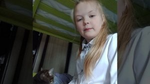 Почему мой кот Филя постоянно залазит мне на колени?