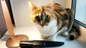 97- Мистеры фиксы