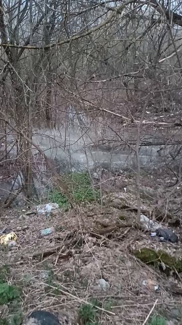 спасите реку