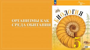 Урок 23. Организмы как среда обитания