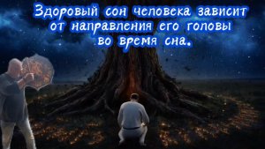 Причины бессонницы и плохого сна у человека.