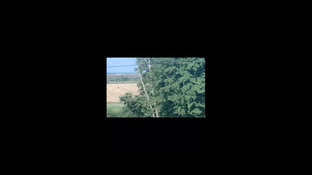 Поездка в Крым 2025