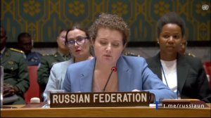 🇷🇺🇺🇳Выступление заместителя Постоянного представителя А.М.Евстигнеевой